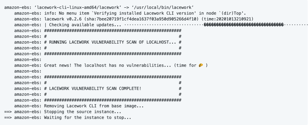 Packer output with NO VULNERABILITIES!